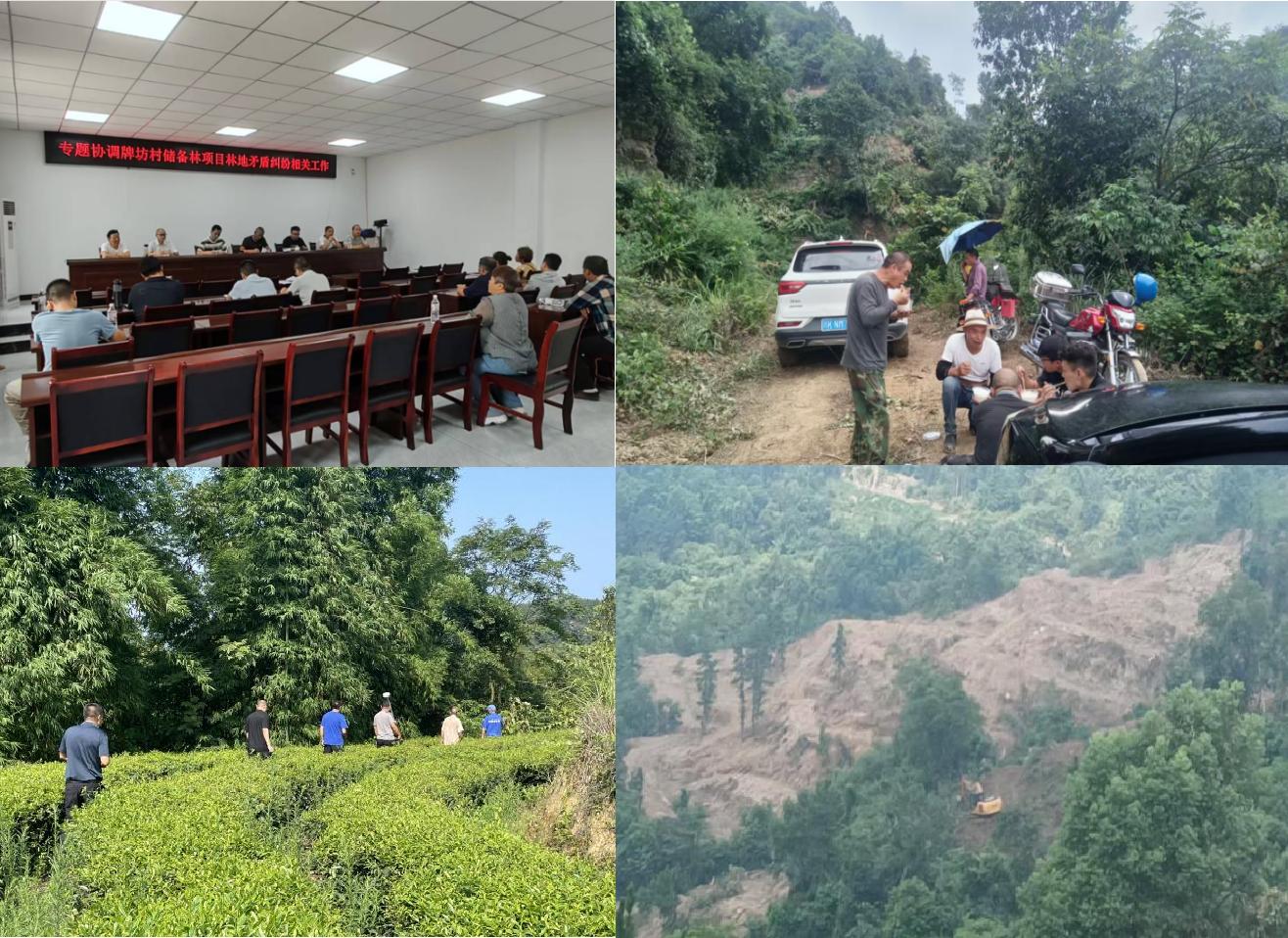 破局攻坚创佳绩 绘就收储新画卷