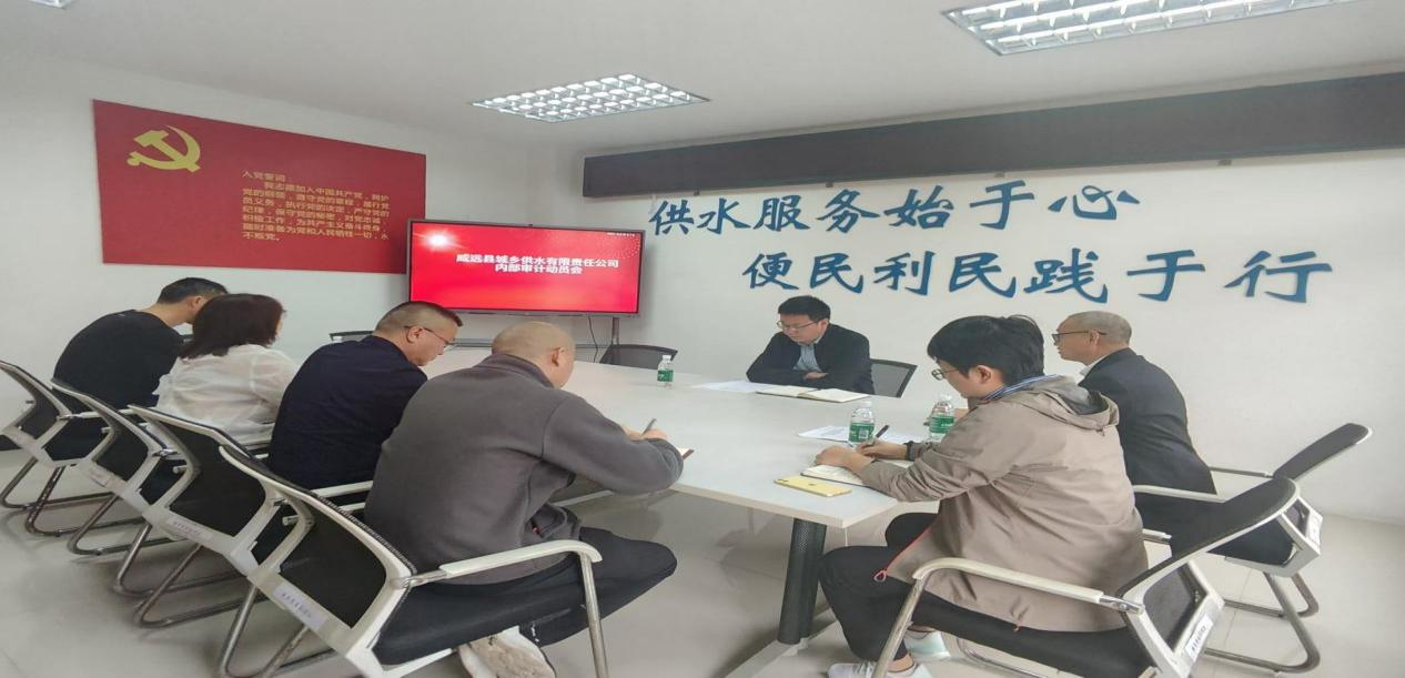 发挥审计监督，助推能力建设